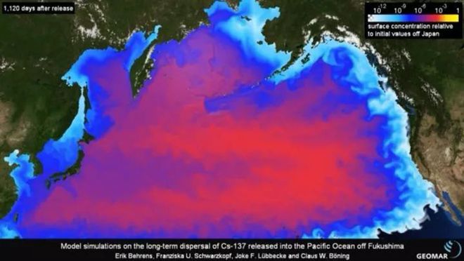 日本排放核污水作文题目_有关日本排放核污水作文_日本核污水排放的作文