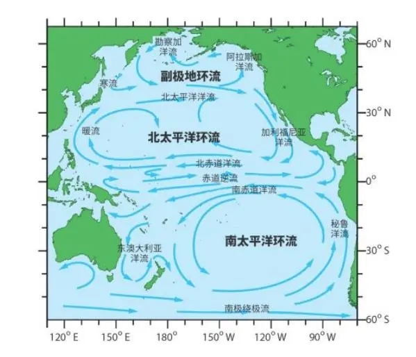 核污水排入海洋_地图核污水排鲸鱼_核污水排海插画