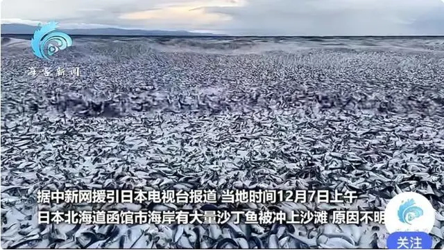 核污水排入海洋_核污水排放图_地图核污水排鲸鱼