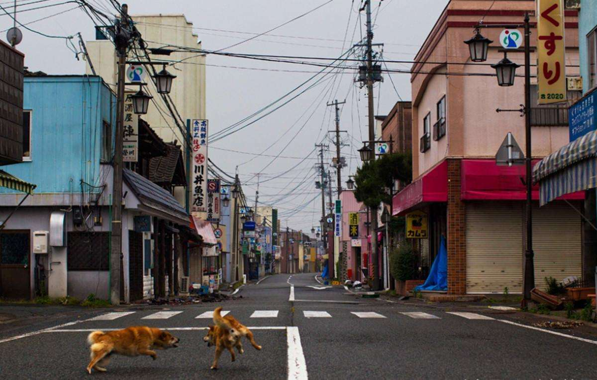 日本排放核污水专家推测_日本核污水排放时评_2022年日本核污水排放